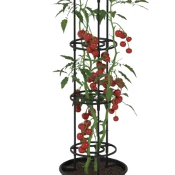 Tomatkruka Ø30 cm m/spaljé 115 cm