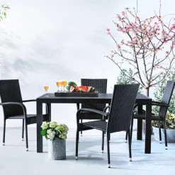 Trädgårdsbord Havanna 150 x 90 cm Sunlife