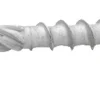 Träskruv Protect 4 Big Dog 8 x 80 mm 15-pack Heco