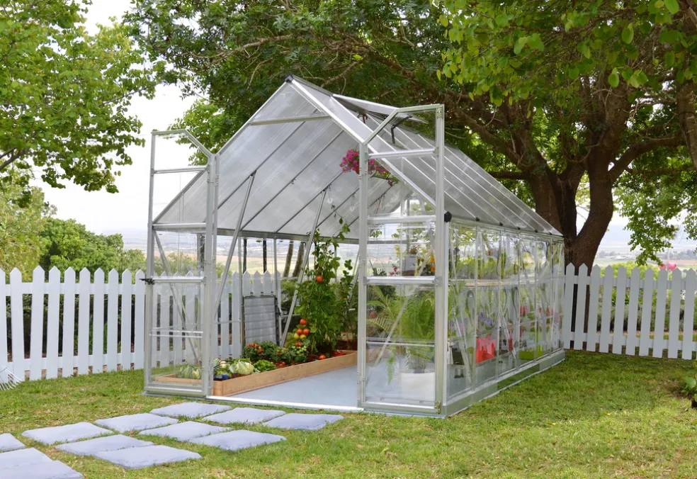 Växthus Balance 8,8 m² Canopia by Palram