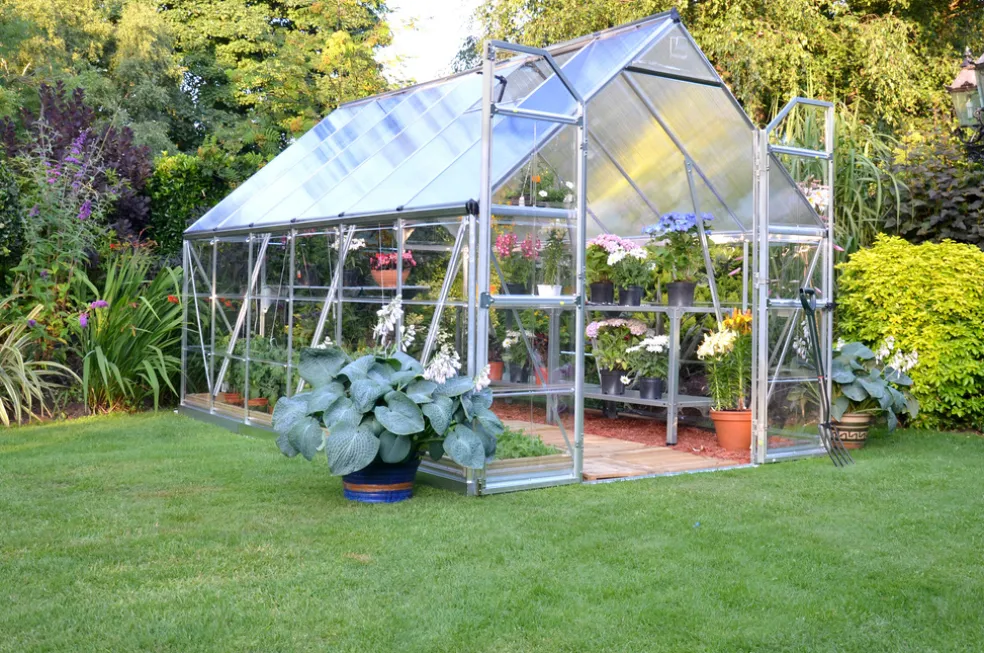 Växthus Balance 8,8 m² Canopia by Palram