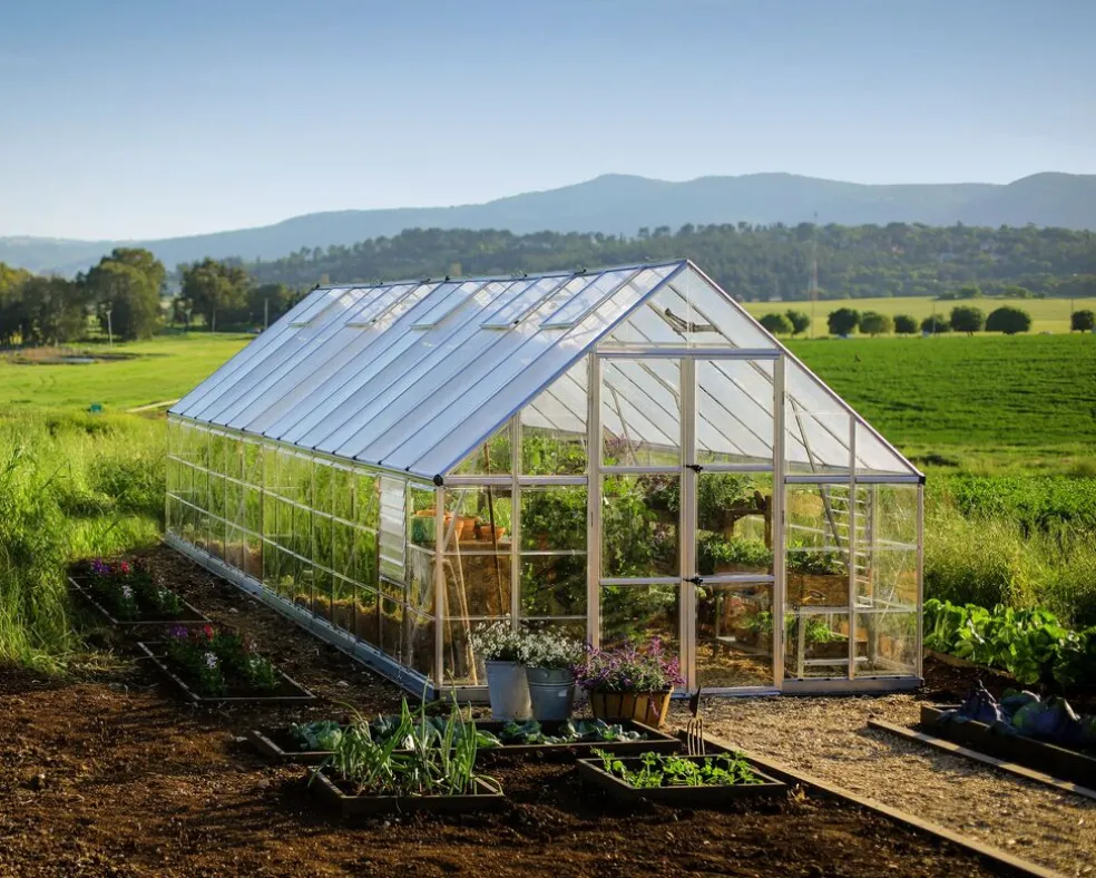 Växthus Balance 25,1 m² Silver Canopia by Palram