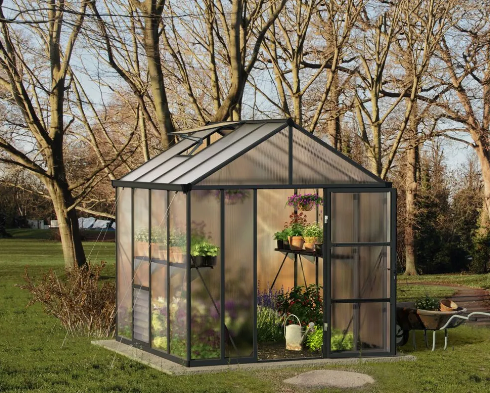 Växthus Glory Premium 6,2 m² Mörkgrå Canopia by Palram