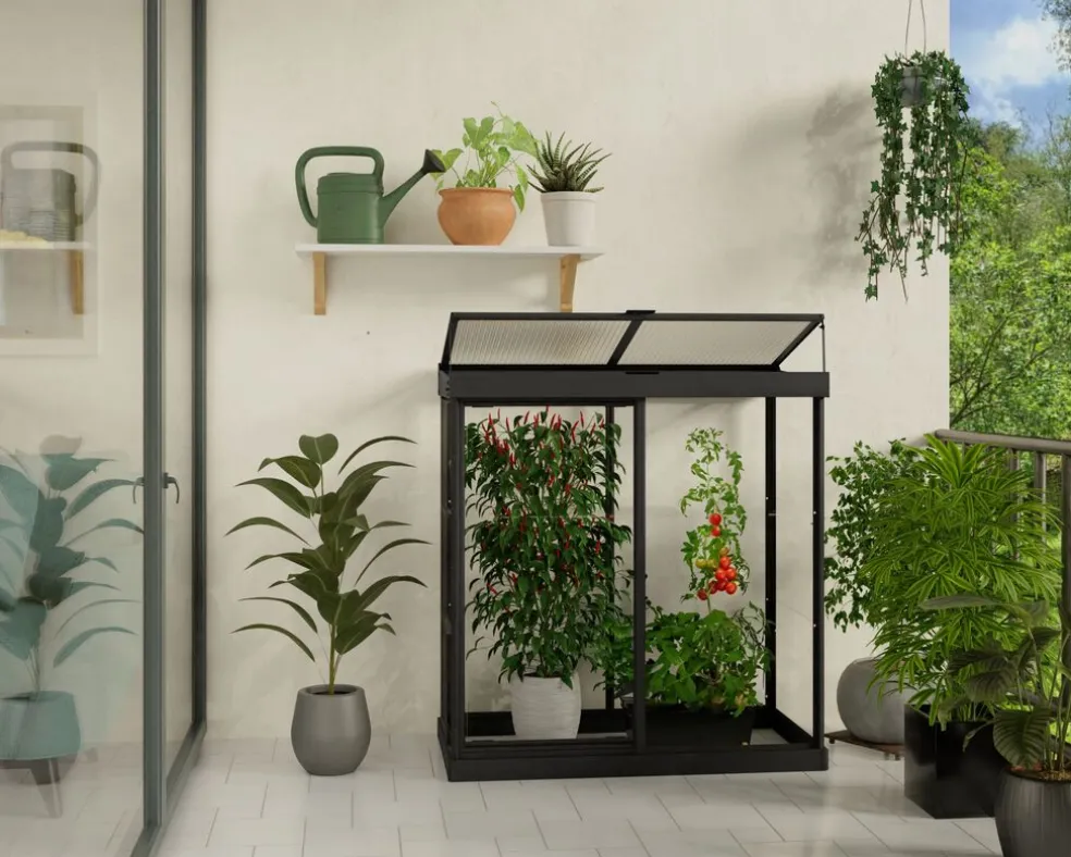 Växthus Ivy 133 x 63 cm Svart Canopia by Palram