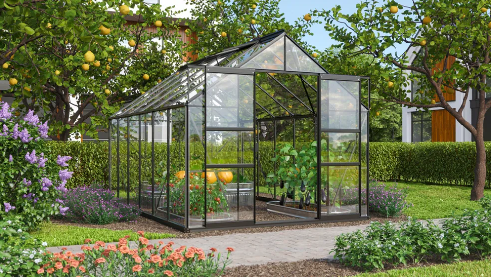 Växthus Mars 9900 Svart Glas 9,9 m² Vitavia