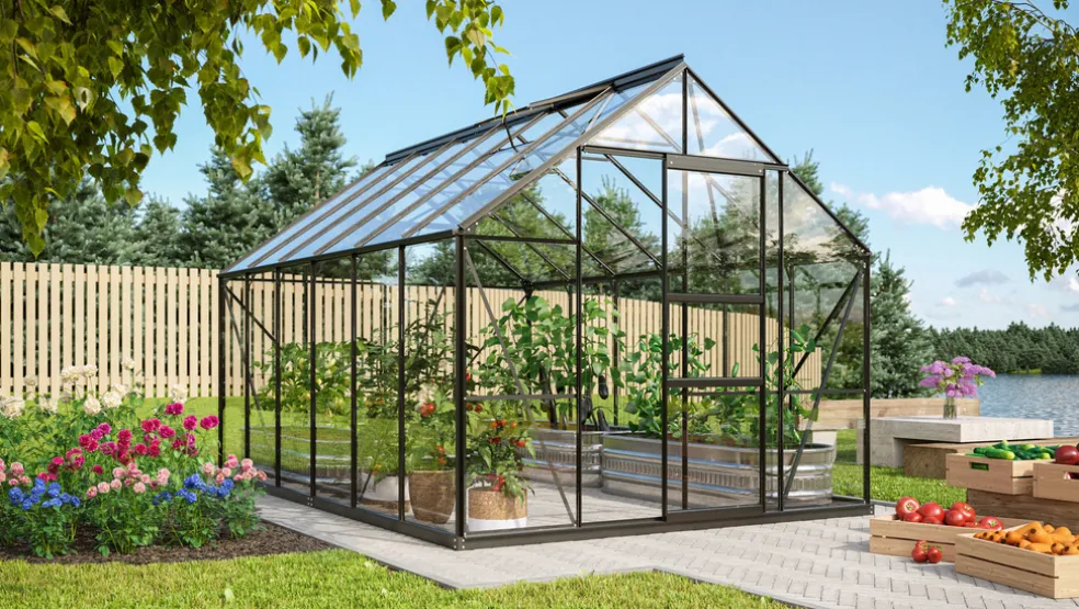 Växthus Merkur 9900 Svart Glas 9,9 m² Vitavia