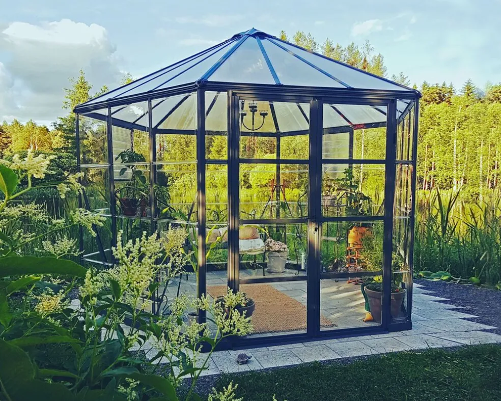 Växthus Oasis 8,6 m² Mörkgrå Canopia by Palram