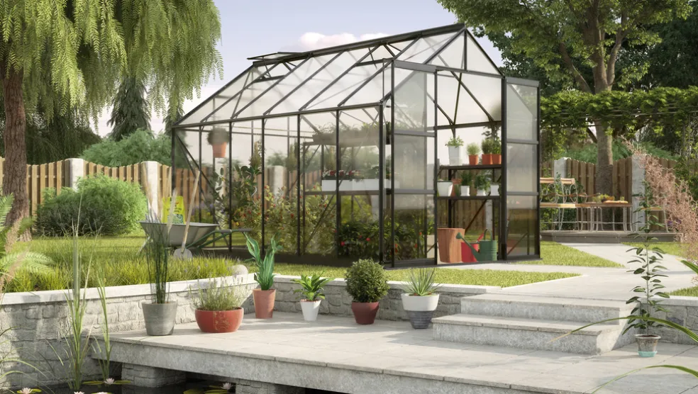 Växthus Phoenix 9900 Svart Glas Sockel 9,9 m² Vitavia