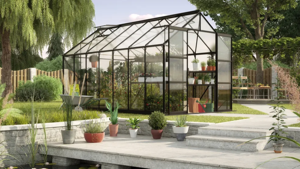 Växthus Phoenix 11500 Svart Glas Sockel 11,5 m² Vitavia