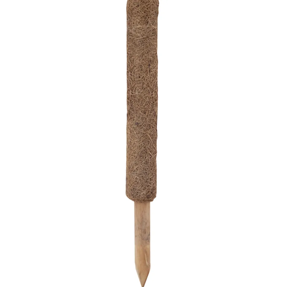 Växtstöd Kokos 40 cm